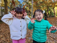🍂사정공원 가을나들이🍂 - 2024 활동모습 - 행복이 가득한 이곳, 해밀어린이집 ! 🍂사정공원 가을나들이🍂