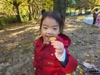 🍂사정공원 가을나들이🍂 - 2024 활동모습 - 행복이 가득한 이곳, 해밀어린이집 ! 🍂사정공원 가을나들이🍂