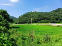 공주탑곡리주말농장부지(469㎡142평)매가3천5백만원 - ★공주토지등 - 공주토지사랑 공주탑곡리주말농장부지(469㎡142평)매가3천5백만원