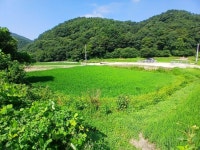 공주탑곡리주말농장부지(469㎡142평)매가3천5백만원 - ★공주토지등 - 공주토지사랑 공주탑곡리주말농장부지(469㎡142평)매가3천5백만원