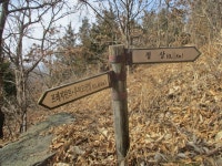 - 여수시 안심산(347.9)~무선산(216.7) 산행후 장도 한바퀴~ - 가입인사... - 여수시 안심산(347.9)~무선산(216.7) 산행후 장도 한바퀴~