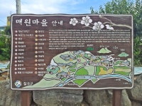 - 칠곡군 매원마을 연꽃, 석적읍 포남3리 해바라기, 그리고 애도의 길... - 칠곡군 매원마을 연꽃, 석적읍 포남3리 해바라기, 그리고 애도의 길... 