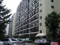산호 사진 2