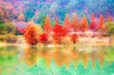 주천의 가을 . . - 동아스포츠 갤러리 - 사진산책. 주천의 가을 . .