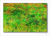 이상향- Utopia - 아송 갤러리 - 사진산책. 이상향- Utopia