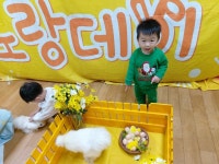 [부평구/청천동/완두콩어린이집] 12월3주 쥬니멀 활동... 동물생태수업 - 완두콩 어린이집 ♥ [부평구/청천동/완두콩어린이집] 12월3주 쥬니멀 활동