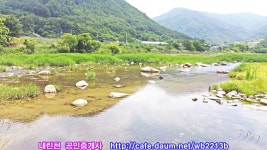 기린면 토지 1,787㎡(540.5평) 1억 6,500만원 - 🏃인제.내린천매물🏆 - 전원의향기 기린면 토지 1,787㎡(540.5평) 1억 6,500만원