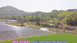 인제읍 토지 1,157㎡ (349.9평) 5천만원 - 🏃인제.내린천매물🏆 - 전원의향기 인제읍 토지 1,157㎡ (349.9평) 5천만원