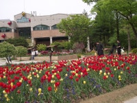 부천 자연 생태공원 - 계절풍경,산행,여행 - [우수카페]세계종자종묘나눔 부천 자연 생태공원