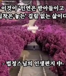 예쁜꽃, 글씨.제주집꽃 - ☞ 자유 게시판 - 표선 가시리민박 예쁜꽃, 글씨.제주집꽃