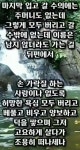예쁜꽃, 글씨.제주집꽃 - ☞ 자유 게시판 - 표선 가시리민박 예쁜꽃, 글씨.제주집꽃