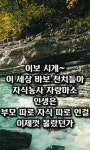 예쁜꽃, 글씨.제주집꽃 - ☞ 자유 게시판 - 표선 가시리민박 예쁜꽃, 글씨.제주집꽃