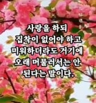 예쁜꽃, 글씨.제주집꽃 - ☞ 자유 게시판 - 표선 가시리민박 예쁜꽃, 글씨.제주집꽃