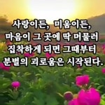 예쁜꽃, 글씨.제주집꽃 - ☞ 자유 게시판 - 표선 가시리민박 예쁜꽃, 글씨.제주집꽃