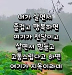 예쁜꽃, 글씨.제주집꽃 - ☞ 자유 게시판 - 표선 가시리민박 예쁜꽃, 글씨.제주집꽃