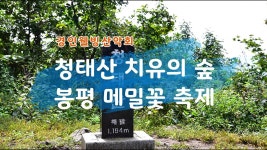 2025년 9월 14일 (일) 청태산 치유의 숲, 봉평 메밀꽃 축제 소개 영상 - 유튜브 캔TV - 경인웰빙산악회(인천/부천) 2025년 9월 14일 (일) 청태산... 