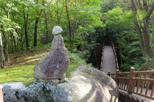 2024/09/29(일요06:30) 대암산 용늪 [강원 인제] - 2024년 산행 - 경인웰빙산악회(인천/부천) 2024/09/29(일요06:30) 대암산 용늪 [강원 인제]