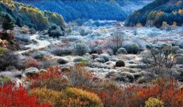 11.2.일/은비령 필례약수 단풍터널+숨은 비경:시크릿가든+인제 자작나무숲 단풍+남설악&한계령 단풍 여행 신청 - 11.2.일/은비령 필례약수... 