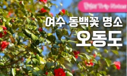 3/21~22 동백향따라 비렁길따라 금오도비렁길,오동도 동백숲... 금오도비렁길,오동도,여수예술랜드,이순신 - 싱글해외여행동호회... 