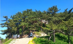 김일성,이승만,이기붕별장,화진포솔숲여행 - 6/14(일)고성하늬라벤다팜,능파대,김일성 이승만별장 - 싱글해외여행동호회/노블레스클럽(여행을... 