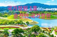 5/1~3(금토일) 천혜의 자연 거문도&백도,국가정원1호 순천만국가정원,순천만습지여행 - 5/1~3 거문도 &백도,순천여행 - 싱글해외여행동호회... 