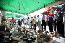 3.24.일/동강할미꽃:세계유일의 신비의 꽃 마을,정선5일장,나전역... 일/동강할미꽃:세계유일의 신비의 꽃 마을,정선5일장,나전역,아우라지... 