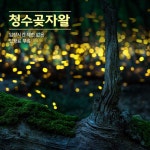 미친특가 319,500원/제주도에 느리게 게으르게 일주일 살기(3.13-19/6박7일)여행 신청 - 국내여행 신청하는 곳 - 싱글 해외여행동호회... 