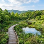 싱글해외여행동호회/노블레스클럽(여행을 사랑하는사람들의모임) 10/1(목) [선운사 꽃무릇+학원농장 메밀꽃+운곡람사르습지] - 접수중