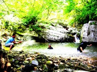 8.2.토/황순원 소나기마을,용문사,유명산 자연휴양림 트레킹&입구지계곡,유명농계 가평8경 물놀이 피서 여행 신청 - 74만원/대한항공/망산... 