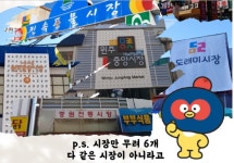 5/27(수)왕의 황장목숲길&구룡사,섬강 자작나무숲길,용수길양귀비축제,원주중앙시장 - 5/27(수)원주구룡사황장목숲,섬강자작나무숲,양귀비... 