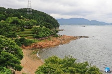 6.29-30/수국 테마여행:부산 태종대.통영 광도천,이순신공원@부산+통영... 태종대.통영 광도천,이순신공원@부산+통영+거제 여행 신청