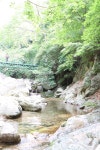 8.2.토/황순원 소나기마을,용문사,유명산 자연휴양림 트레킹&입구지계... 토/황순원 소나기마을,용문사,유명산 자연휴양림 트레킹&입구지계곡... 