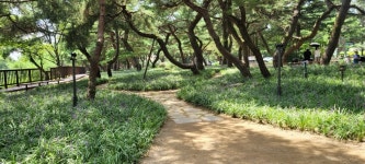 용추폭포&의림솔밭공원 단풍+제천비행장(11.23.일) 여행 신청 - 4.11-12.... 용추폭포&의림솔밭공원 단풍+제천비행장(11.23.일) 여행 신청