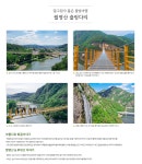 만원의 행복/4.14.화/꿈꾸는 무릉도원-잠두리 복사꽃,벚꽃길/각시소 금강 벼룻길/홍도마을 홍도화꽃길/어죽마을+월영산출렁다리 여행 신청... 