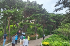 김일성,이승만,이기붕별장,화진포솔숲여행 - 6/14(일)고성하늬라벤다팜,능파대,김일성 이승만별장 - 싱글해외여행동호회/노블레스클럽(여행을... 