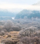 11.2.일/은비령 필례약수 단풍터널+숨은 비경:시크릿가든+인제 자작나무숲 단풍+남설악&한계령 단풍 여행 신청 - 11.2.일/은비령 필례약수... 