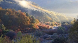 11.2.일/은비령 필례약수 단풍터널+숨은 비경:시크릿가든+인제 자작나무숲 단풍+남설악&한계령 단풍 여행 신청 - 11.2.일/은비령 필례약수... 