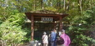 11.2.일/은비령 필례약수 단풍터널+숨은 비경:시크릿가든+인제... 일/은비령 필례약수 단풍터널+숨은 비경:시크릿가든+인제 자작나무숲 단풍... 