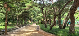 (여행을 사랑하는사람들의모임) 16,923원/청풍호&옥순봉 출렁다리 단풍+비룡담 마법의성&의림지 용추폭포&의림솔밭공원 단풍+제천비행장(11.... 