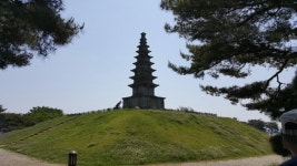 횡재가 59,900원/충주 일주:비내섬,중앙탑,탄금대,수주팔봉,수안보온천,미륵대원지,악어봉,건지마을(2.21-22/1박2일)여행 신청 - 59,900원... 