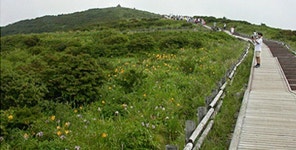 9.14.일/가을 마중/하늘길 지리산 성삼재-노고단 둘레길 하늘정원 천상화원 야생화 탐방+실상사 여행 신청 - 9.14.일/하늘길 지리산 노고단+성삼재... 