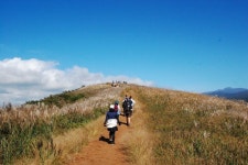 2025제주도올레걷기축제/제주도억새축제& 한라산둘레길/일주일살기(11.5-11/6박7일) - 2025제주도올레걷기축제/제주도단풍&억새/(11.5-11일)... 