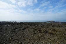 사도, 추도 수필여행 - 사진 출사 후기방 - 싱글해외여행동호회/노블레스클럽(여행을 사랑하는사람들의모임) 사도, 추도 수필여행