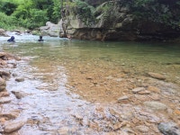 괴산 칠보산 계곡 산책 - 정기산행 앨범 - 삼육 산우회 괴산 칠보산 계곡 산책