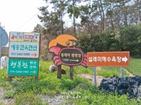 26.3.26(목)전남신안군 증도 엘도라길 트래킹 - 일상 탈출 - 전주장미산악회 26.3.26(목)전남신안군 증도 엘도라길 트래킹