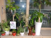 재정신청 성공-구수회가 행정사22년만에 발견 - 자유 게시판3 - 구수회행정심판전문사무소(대표 행정사 구수회) 재정신청 성공-구수회가... 