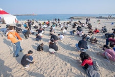 2024년 제24회 고성통일명태축제가 10월 11일(금)부터 10월 13일(일)까지 고성군 거진읍 바닷가에서 열립니다! - 미시령 새소식... 