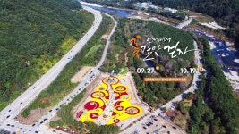 가을의 시작을 알리는 2025년 제7회 인제가을꽃축제에 여러분을 초대합니다! (feat. 제25회 용대리 황태축제) - 미시령 새소식 - 미시령에서... 