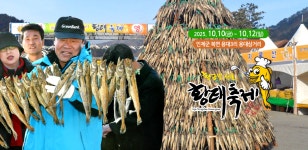 가을의 시작을 알리는 2025년 제7회 인제가을꽃축제에 여러분을 초대합니다! (feat. 제25회 용대리 황태축제) - 미시령 새소식 - 미시령에서... 