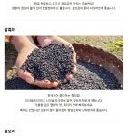 맛있는 햇보리와 잡곡! - 일반농산물판매 - 씨앗편지 맛있는 햇보리와 잡곡!